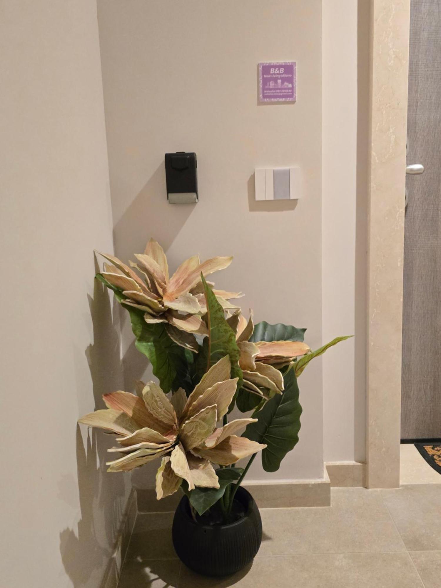 ゴルゴンゾーラ New Living Milano Bed & Breakfast エクステリア 写真