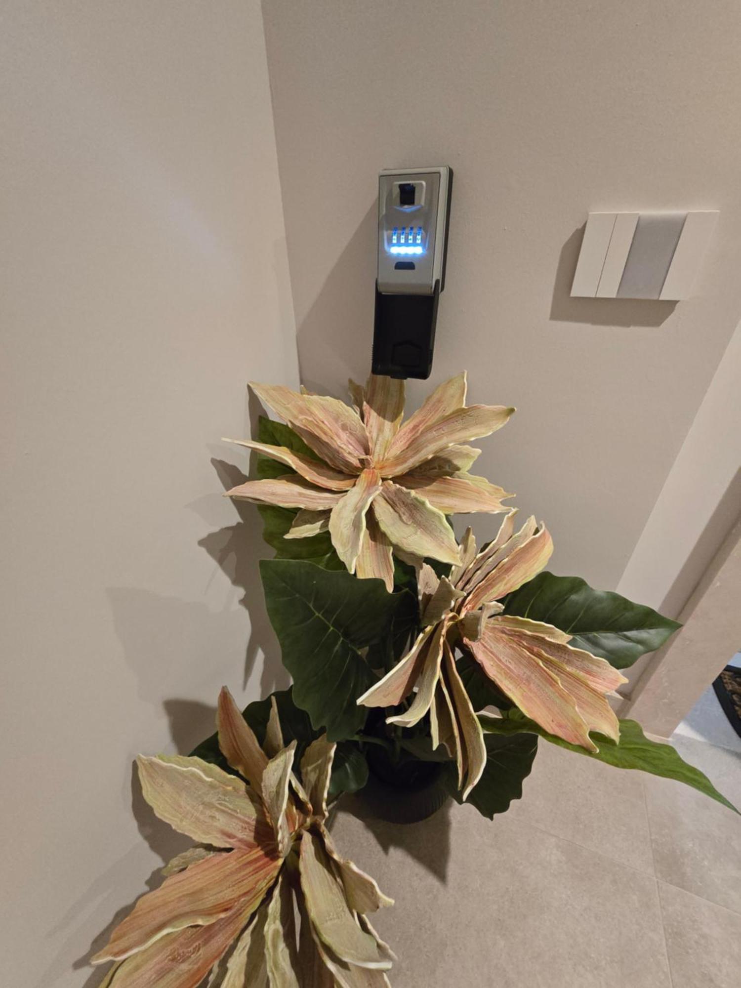 ゴルゴンゾーラ New Living Milano Bed & Breakfast エクステリア 写真